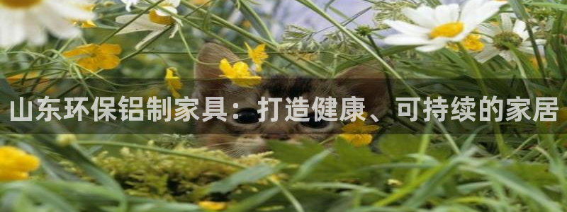 杏耀注册登录官网