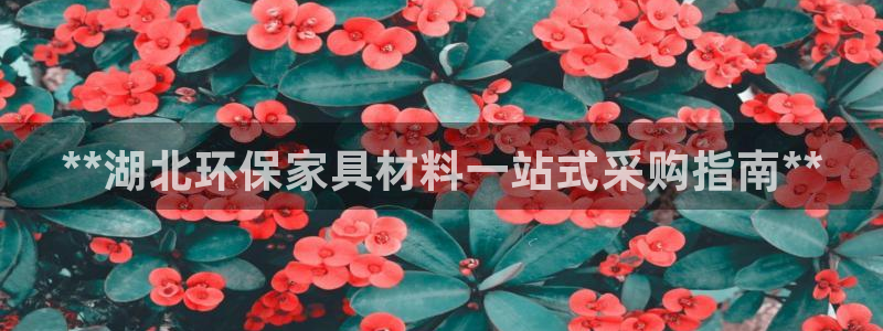 杏耀登入官网