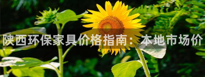 杏耀注册登录官网