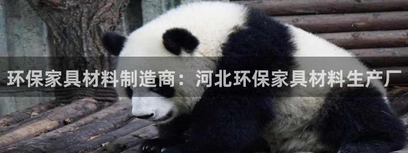 杏耀平台注册登录