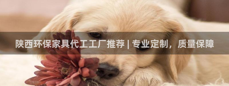 杏耀平台怎么样