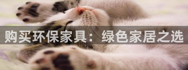 杏耀平台是真的吗：购买环保家具：绿色家居之选