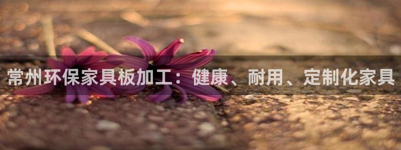 杏耀平台登录网站