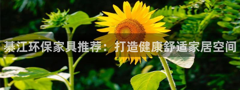 杏耀平台首页：綦江环保家具推荐：打造健康舒适家居空间