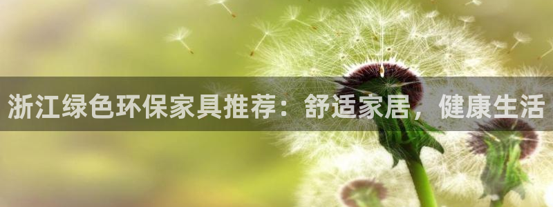 杏耀代理日工资多少：浙江绿色环保家具推荐：舒适家居，健康生活