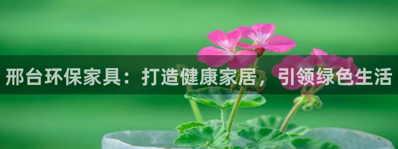 杏耀是什么平台