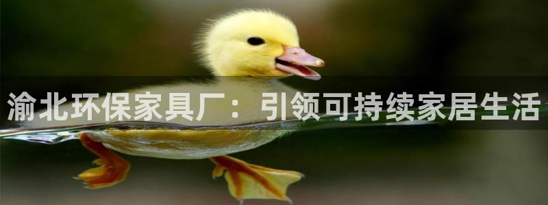 杏耀代理主管qq：渝北环保家具厂：引领可持续家居生活