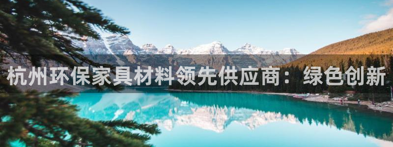 杏耀注册线路：杭州环保家具材料领先供应商：绿色创新