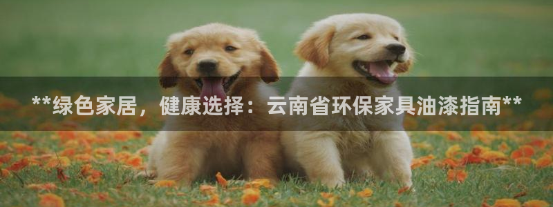 杏耀平台首页