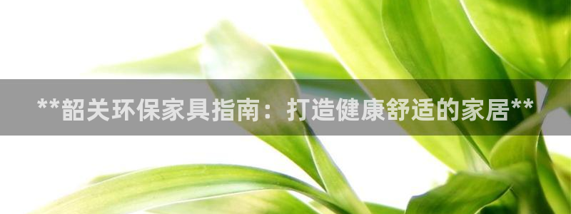 杏耀网址官网：**韶关环保家具指南：打造健康舒适的家居**