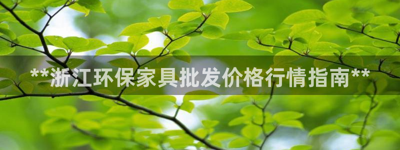 杏耀测速网址电脑版：**浙江环保家具批发价格行情指南**