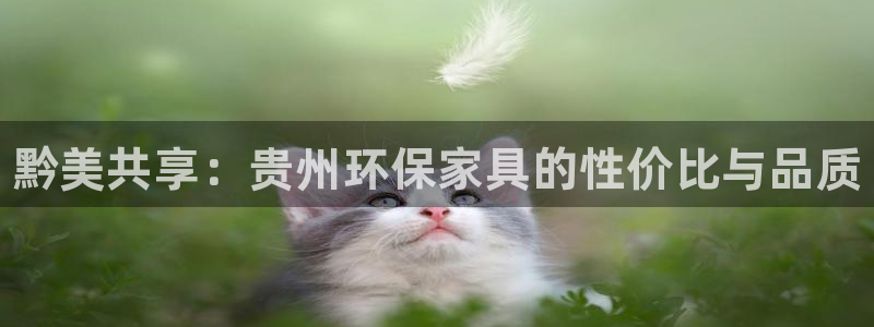 杏耀平台待遇：黔美共享：贵州环保家具的性价比与品质