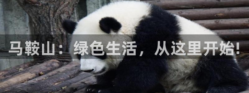 杏耀手机客户端