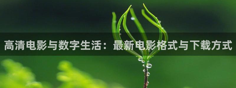 天龙高清影院免费观看：高清电影与数字生活：最新电影格式与下载方式