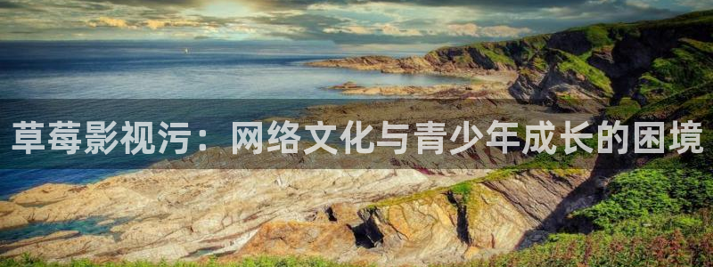 denon 天龙家庭影院：草莓影视污：网络文化与青少年成长的困境
