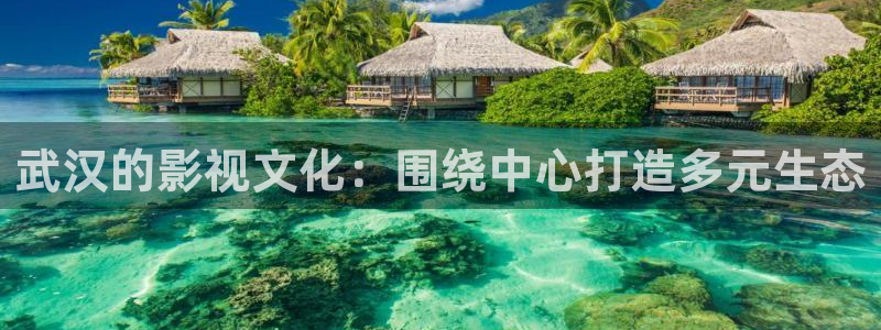 天龙影院2025最新款：武汉的影视文化：围绕中心打造多元生态