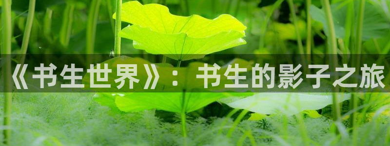 天龙影院免费在线观看电视剧：《书生世界》：书生的影子之旅