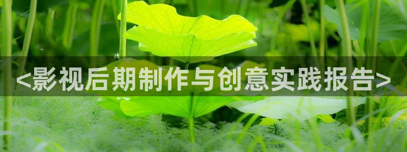 东风天龙旗舰版：<影视后期制作与创意实践报告>