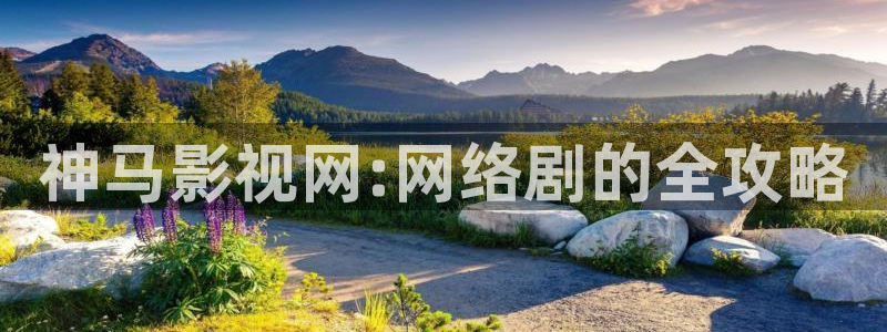 天龙影院免费电视剧：神马影视网:网络剧的全攻略